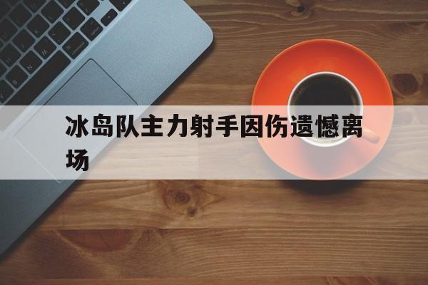 冰岛队主力射手因伤遗憾离场的简单介绍