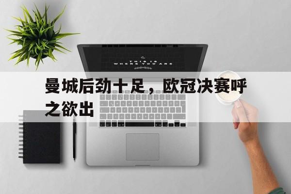 曼城后劲十足，欧冠决赛呼之欲出的简单介绍